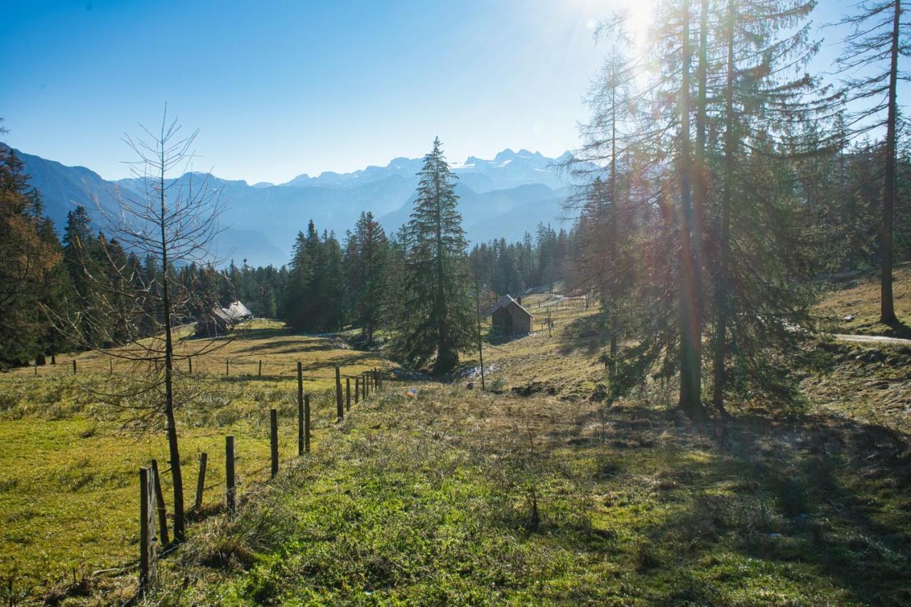 Ferienwohnung Stoablick - Barrierefrei Mit Bergblick Bad Goisern Exteriör bild